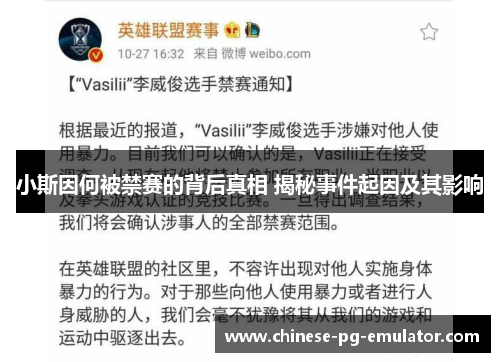小斯因何被禁赛的背后真相 揭秘事件起因及其影响