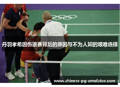 丹羽孝希因伤退赛背后的原因与不为人知的艰难选择 丹羽孝希因伤退赛背后的原因与不为人知的艰难选择