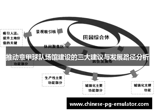 推动意甲球队场馆建设的三大建议与发展路径分析